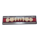 Dente Acrílico Dent Clean - Imodonto
