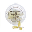 Agulha Itracanal Endo Eze Tips